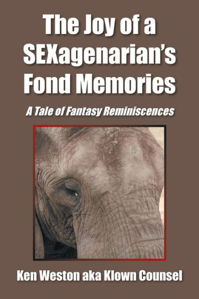 The Joy of A Sexagenarian's Fond Memories: Tale Fantasy Reminiscences