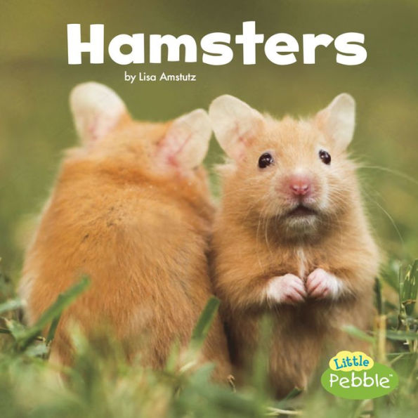 Hamsters