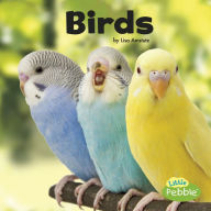 Title: Birds, Author: Lisa J. Amstutz