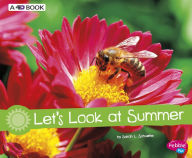 Title: Let's Look at Summer: A 4D Book, Author: Sarah L. Schuette
