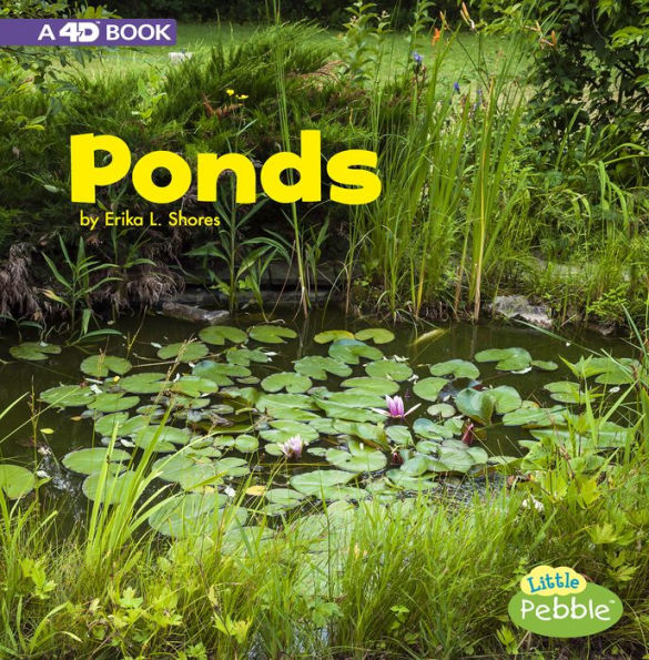 Ponds: A 4D Book