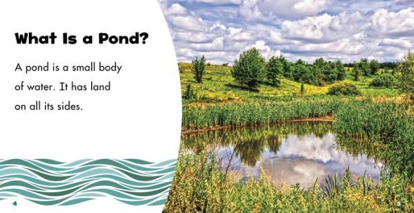 Ponds: A 4D Book