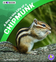 Title: A Day in the Life of a Chipmunk: A 4D Book, Author: Sharon Katz Cooper