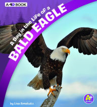 Title: A Day in the Life of a Bald Eagle: A 4D Book, Author: Lisa J. Amstutz