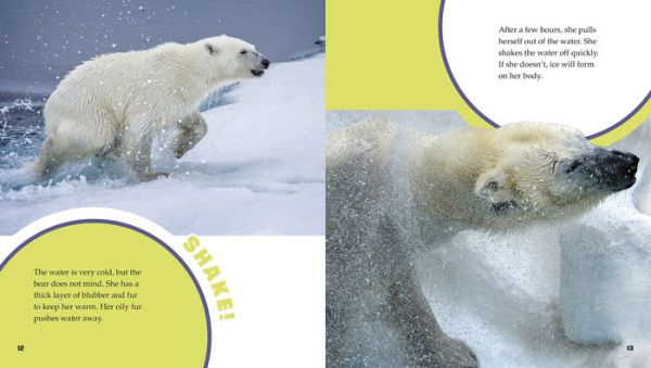 A Day in the Life of a Polar Bear: A 4D Book