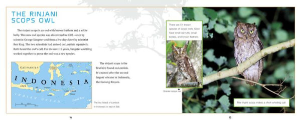Animal Discoveries