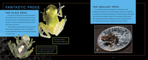 Animal Discoveries