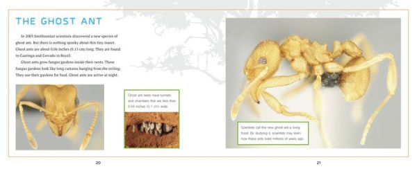 Animal Discoveries