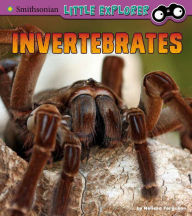 Title: Invertebrates: A 4D Book, Author: Melissa Ferguson
