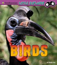 Title: Birds: A 4D Book, Author: Sally Lee