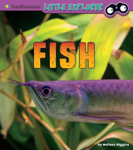 Title: Fish: A 4D Book, Author: Melissa Higgins