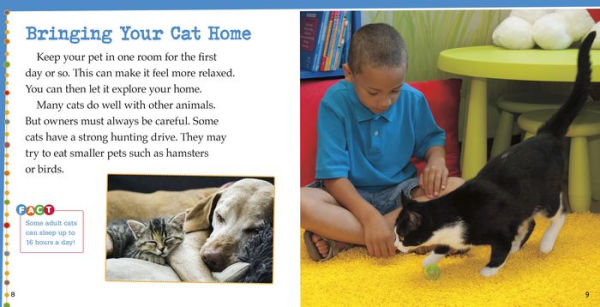 Caring for Cats: A 4D Book