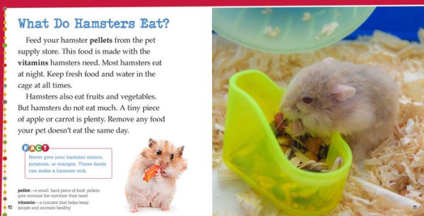 Caring for Hamsters: A 4D Book