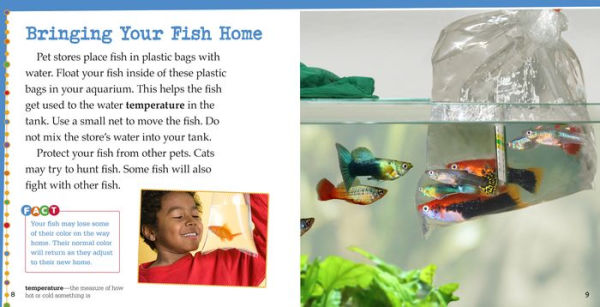 Caring for Fish: A 4D Book