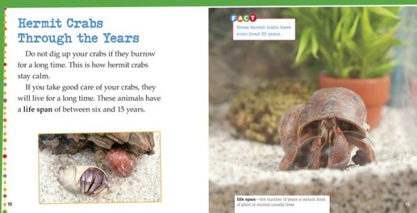 Caring for Hermit Crabs: A 4D Book