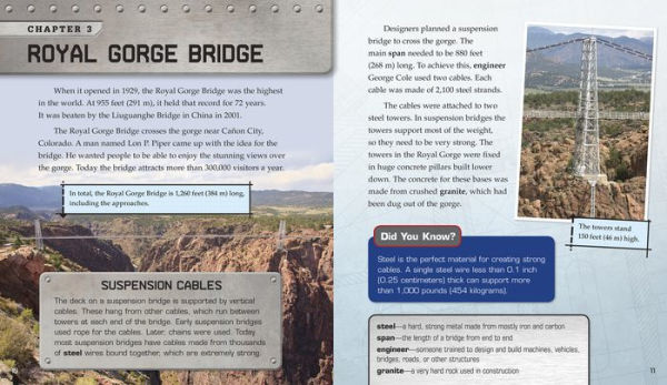 Extraordinary Bridges: The Science of How and Why They Were Built