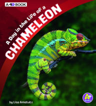 Title: A Day in the Life of a Chameleon: A 4D Book, Author: Lisa J. Amstutz