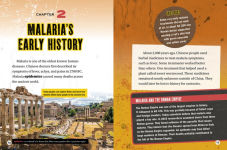 Alternative view 4 of Malaria: How a Parasite Changed History