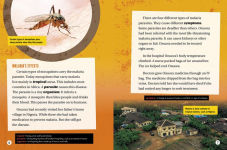 Alternative view 6 of Malaria: How a Parasite Changed History