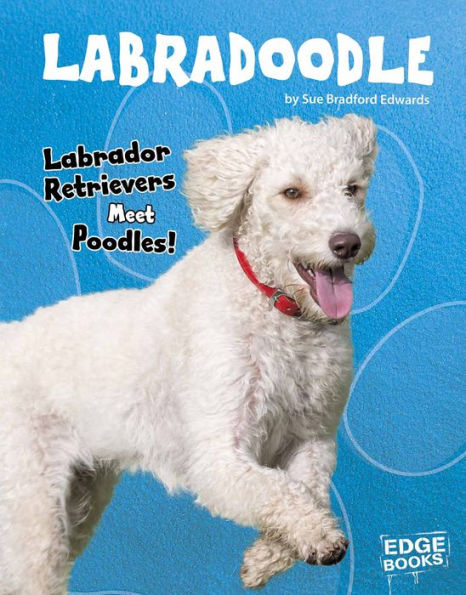 Labradoodle: Labrador Retrievers Meet Poodles!