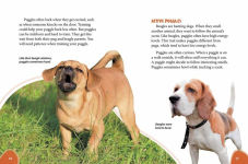 Alternative view 4 of Puggle: Pugs Meet Beagles!