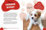 Alternative view 5 of Cavachon: Cavalier King Charles Spaniels Meet Bichon Frises!