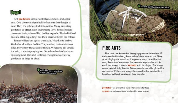 Ants: Secrets of Their Cooperative Colonies