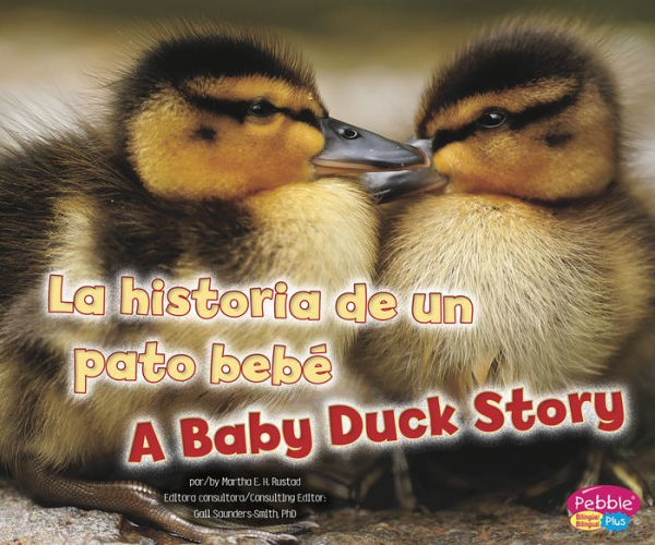 La historia de un pato bebé/A Baby Duck Story