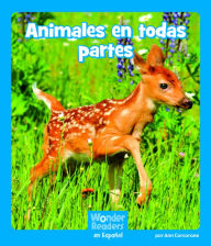 Title: Animales en todas partes, Author: Ann Corcorane