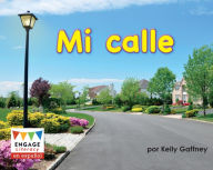 Mi calle