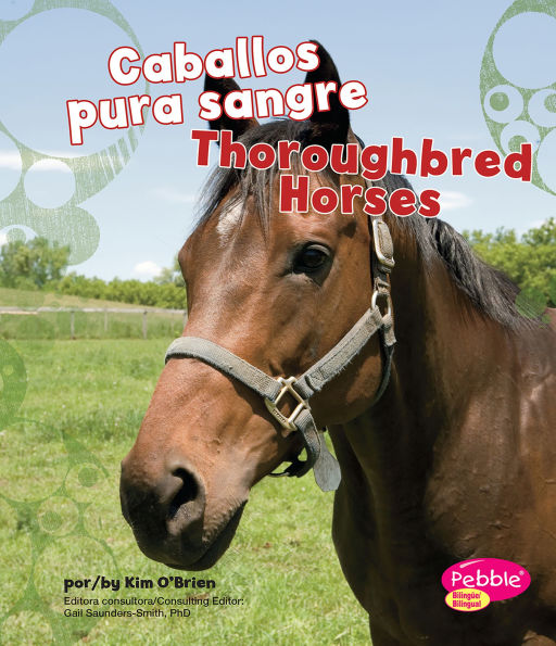 Caballos pura sangre/Thoroughbred Horses