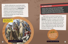 Alternative view 4 of Measles: How a Contagious Rash Changed History