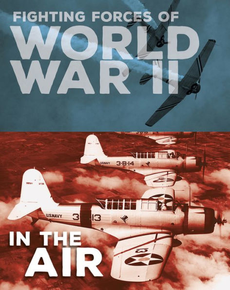 Fighting Forces of World War II in the Air