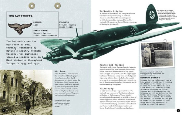 Fighting Forces of World War II in the Air