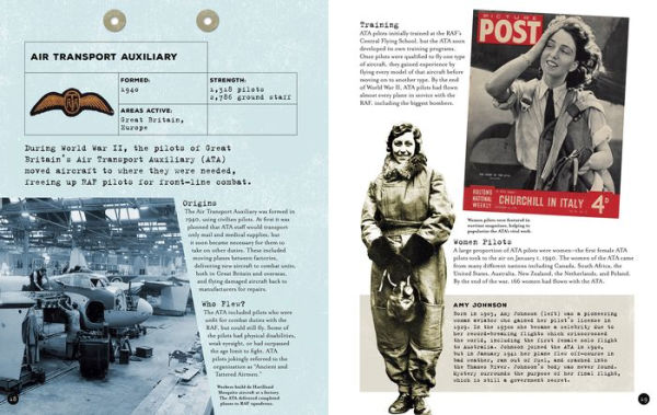 Fighting Forces of World War II in the Air