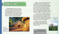 Alternative view 3 of Wangari Maathai: Get to Know the Woman Who Planted Trees to Bring Change