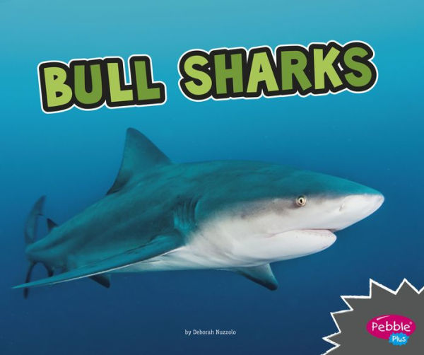 Bull Sharks