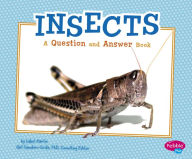 Title: Insects: A Question and Answer Book, Author: Isabel Martin
