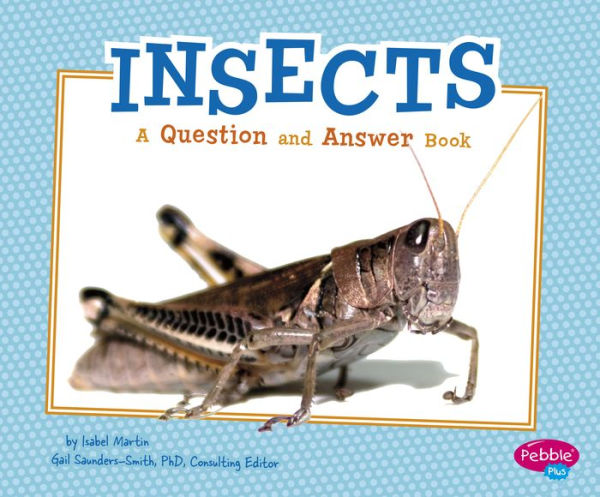 Insects: A Question and Answer Book