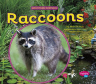 Title: Raccoons, Author: Mari Schuh