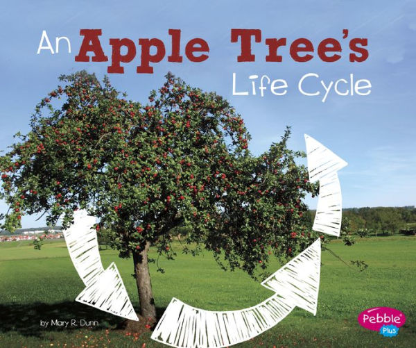 An Apple Tree's Life Cycle