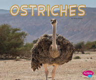 Title: Ostriches, Author: Rose Davin