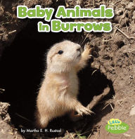 Title: Baby Animals in Burrows, Author: Martha E. H. Rustad