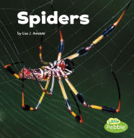 Title: Spiders, Author: Lisa J. Amstutz