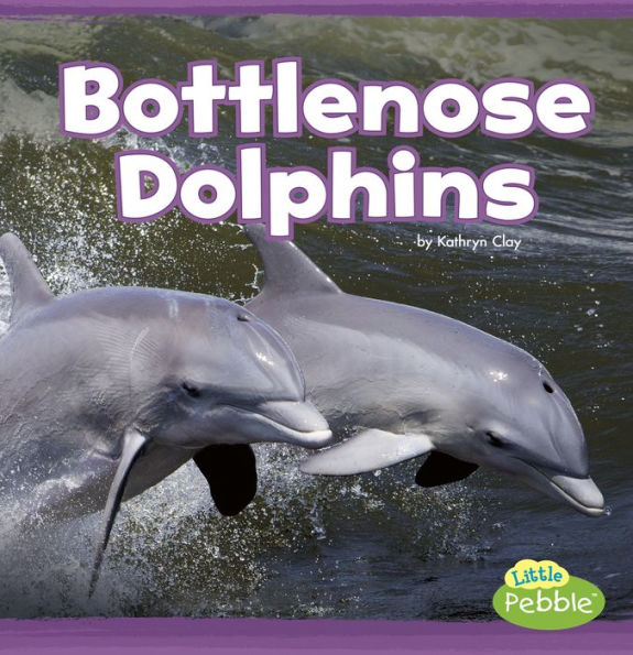 Bottlenose Dolphins: A 4D Book