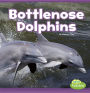Bottlenose Dolphins: A 4D Book
