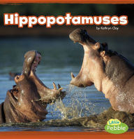 Title: Hippopotamuses: A 4D Book, Author: Kathryn Clay