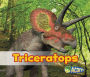 Triceratops