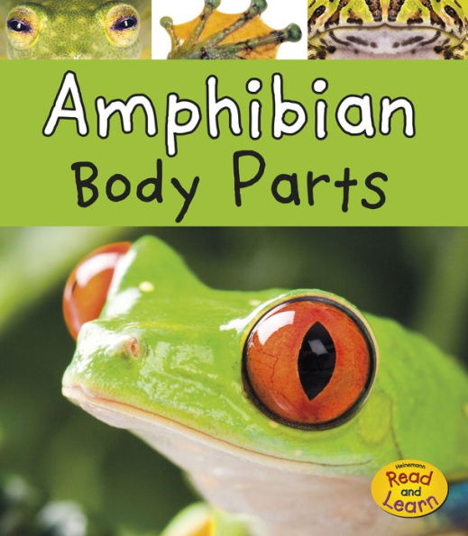 Amphibian Body Parts