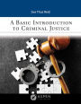 Basic Introduction to Criminal Justice